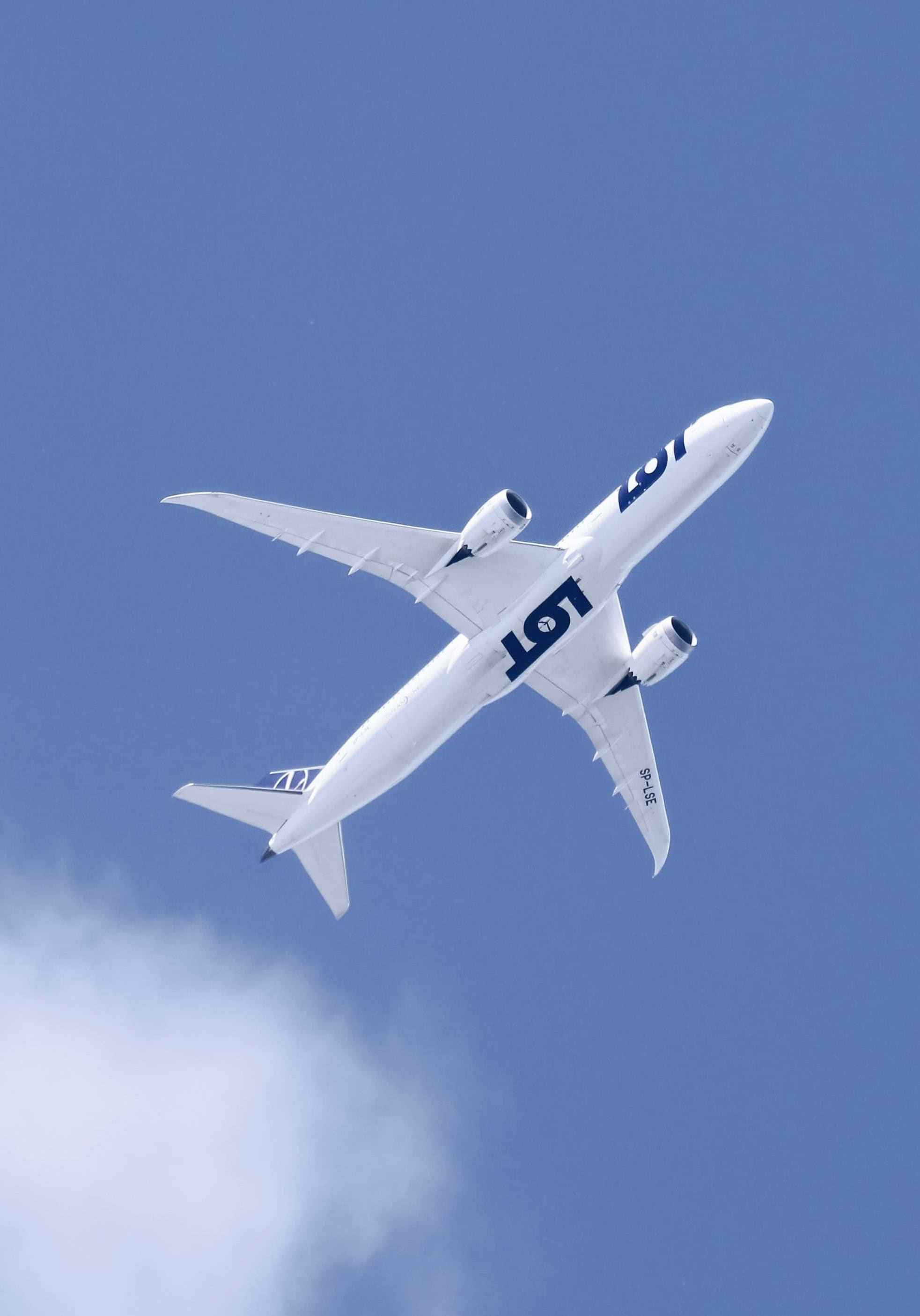 Avion u letu